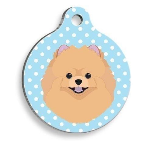 Blauer, gepunkteter Pomeranian-Erkennungsanhänger